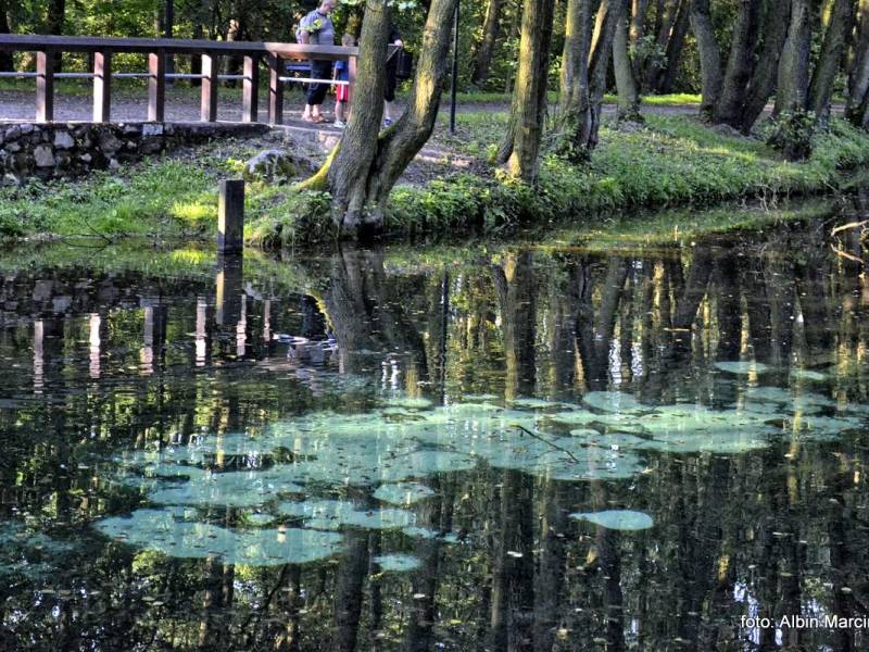 Rezerwat Przyrody Niebieskie Źródła